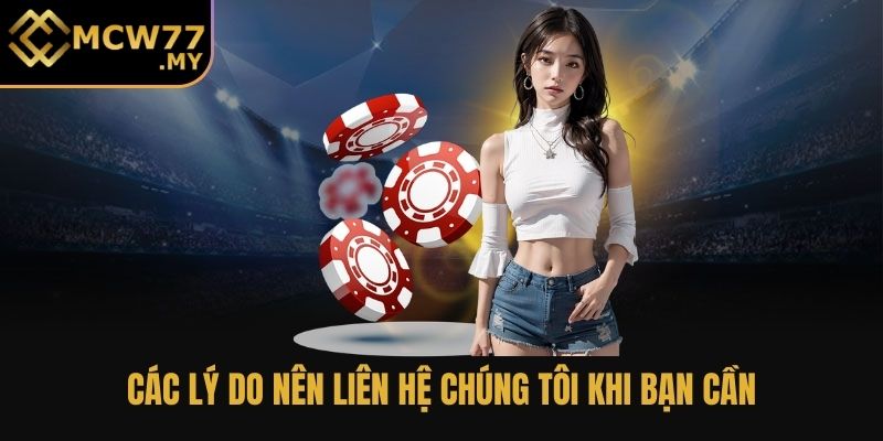 Các lý do nên liên hệ chúng tôi khi bạn cần